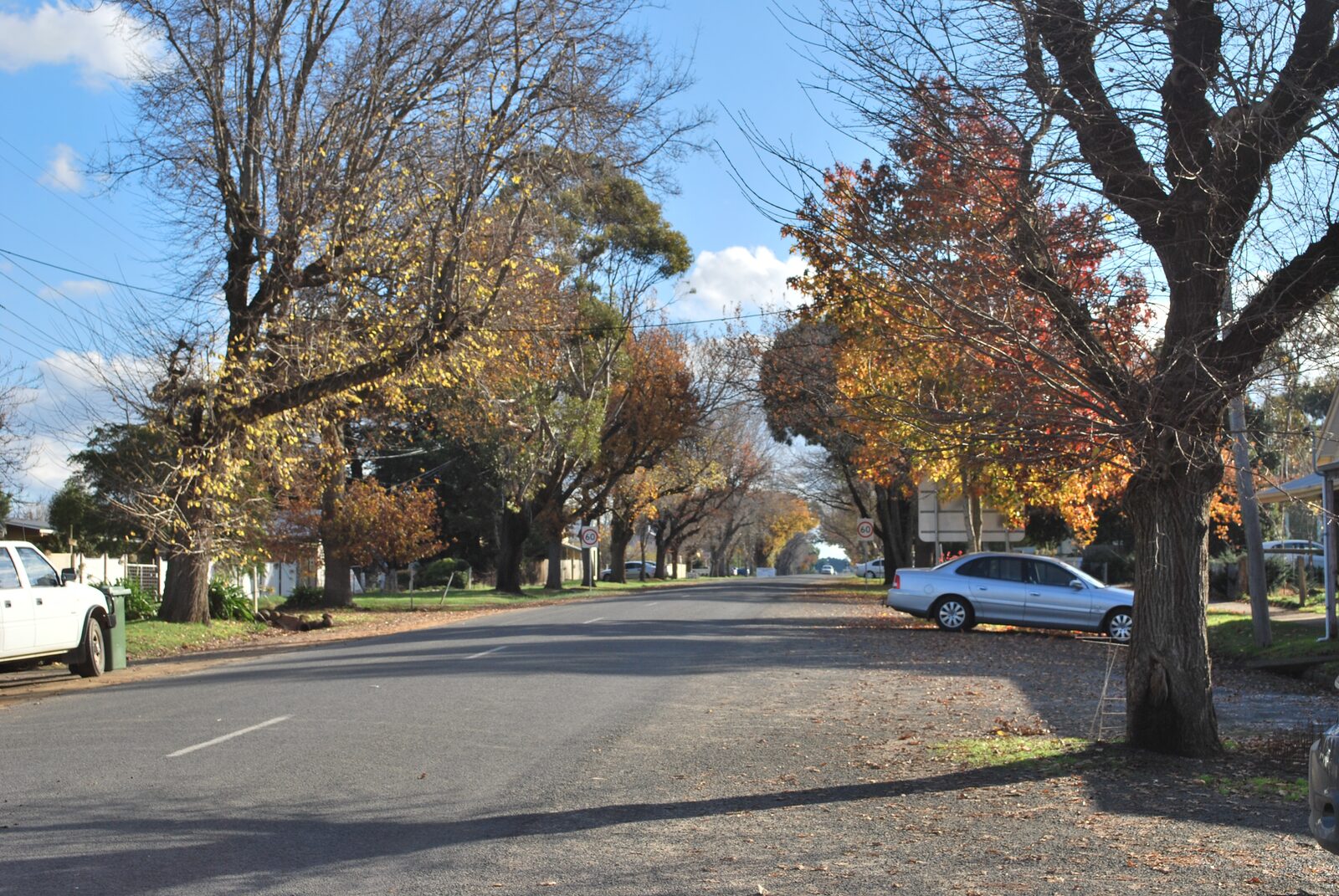 Staughton Street, the main street of Meredith.